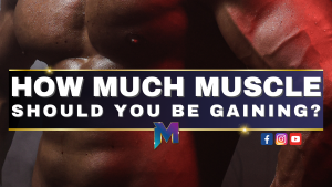 How much muscle should I be gaining?
